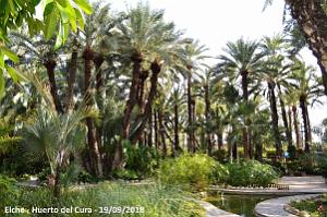 19 ELCHE HUERTO DEL CURA (40)